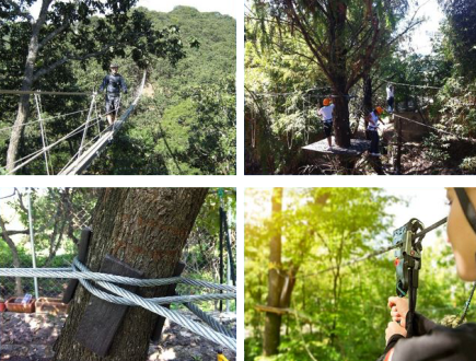 Canopy Tour